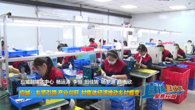 【直通县市区】应城：乡贤引领 产业兴旺 村集体经济推动乡村蝶变