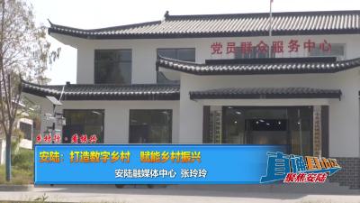 【直通县市区】乡村行·看振兴 安陆：打造数字乡村 赋能乡村振兴
