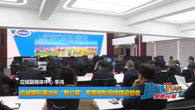【直通县市区】应城顺利通过省“数公基”专家组阶段性建设验收
