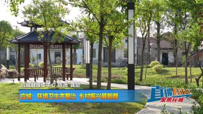 【直通县市区】应城：环境卫生齐整治 乡村振兴展新颜