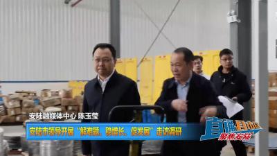 【直通县市区】安陆市领导开展“解难题、稳增长、促发展”走访调研