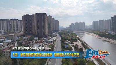 【直通县市区】大悟：绿色智能家电家居以旧换新 销售额达3200余万元