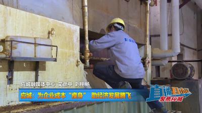 【直通县市区】应城：为企业成本“瘦身” 助经济发展腾飞