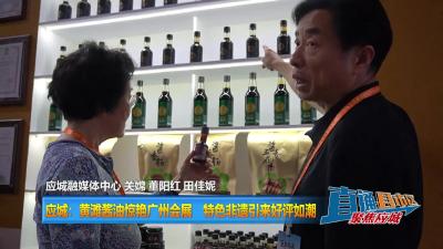 【直通县市区】应城：黄滩酱油惊艳广州会展  特色非遗引来好评如潮