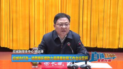 【直通县市区】应城市打造一流营商环境助力高质量发展工作会议召开