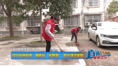 【直通县市区】汉川中洲农场：楼栋长“当管家” 助力清洁家园