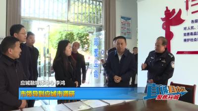 【直通县市区】 市领导到应城市调研