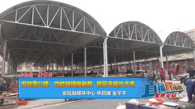 【直通县市区】乡村行·看振兴 安陆雷公镇：功能城镇换新颜 居民幸福步步高
