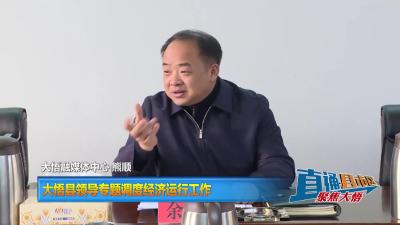 【直通县市区】大悟县领导专题调度经济运行工作