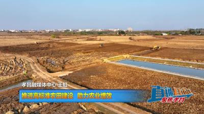【直通县市区】推进高标准农田建设  助力农业增效