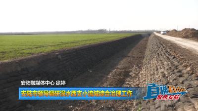 【直通县市区】安陆市领导调研涢水西支小流域综合治理工作