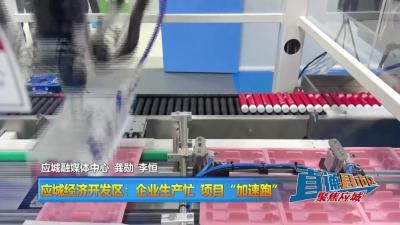 【直通县市区】应城经济开发区：企业生产忙 项目“加速跑”