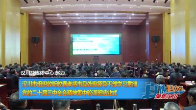 【直通县市区】汉川市组织收听收看孝感市县处级领导干部学习贯彻党的二十届三中全会精神集中轮训班结业式