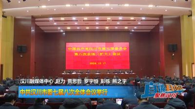 【直通县市区】中共汉川市委七届八次全体会议举行