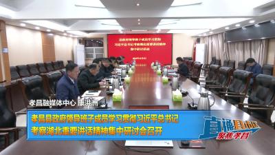 【直通县市区】孝昌县政府领导班子成员学习贯彻习近平总书记考察湖北重要讲话精神集中研讨会召开