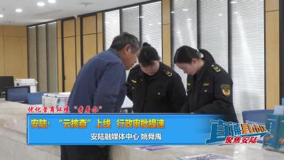 【直通县市区】优化营商环境“孝着办” 安陆：“云核查”上线 行政审批提速