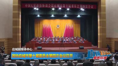 【直通县市区】政协应城市第十届委员会第四次会议召开
