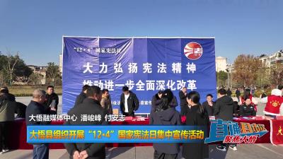 【直通县市区】大悟县组织开展“12·4”国家宪法日集中宣传活动
