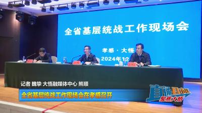 【直通县市区】全省基层统战工作现场会在孝感召开