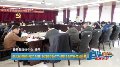 【直通县市区】湖北省税务系统2025年社保非税重点工作座谈会在云梦县召开