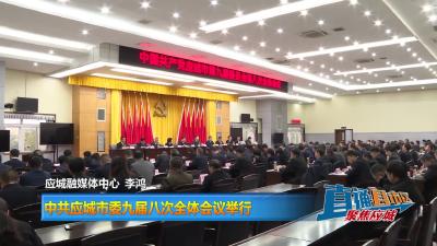 【直通县市区】中共应城市委九届八次全体会议举行
