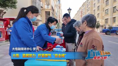 【直通县市区】大悟：监督发力 拧紧燃气“安全阀”