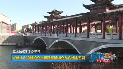 【直通县市区】孝感市小流域综合治理现场推进会在应城市召开