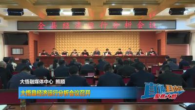 【直通县市区】大悟县经济运行分析会议召开