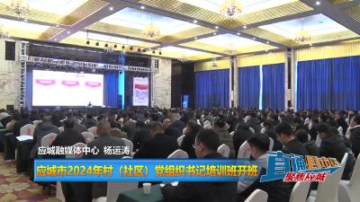 【直通县市区】应城市2024年村（社区）党组织书记培训班开班