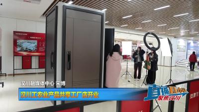 【直通县市区】汉川工农业产品共享工厂店开业