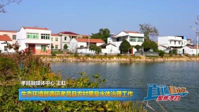 【直通县市区】生态环境部调研孝昌县农村黑臭水体治理工作