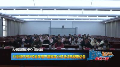 【直通县市区】大悟组织收听收看孝感市融媒体业务培训电视电话会