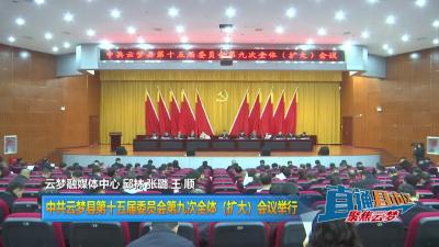 【直通县市区】中共云梦县第十五届委员会第九次全体（扩大）会议举行