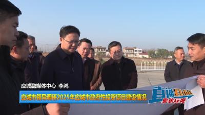 【直通县市区】应城市领导调研2025年应城市政府性投资项目建设情况
