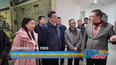 【直通县市区】中央广播电视总台湖北总站到大悟开展革命传统教育主题党日活动