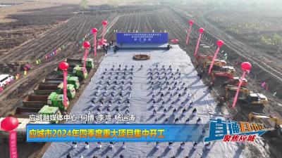 【直通县市区】应城市2024年四季度重大项目集中开工