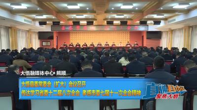 【直通县市区】大悟县委常委会（扩大）会议召开 传达学习省委十二届八次全会、孝感市委七届十一次全会精神