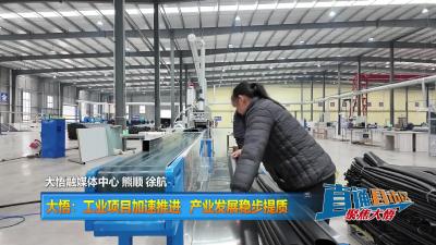 【直通县市区】大悟：工业项目加速推进 产业发展稳步提质