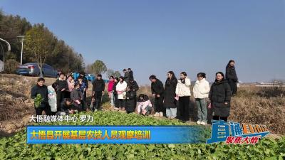 【直通县市区】大悟县开展基层农技人员观摩培训