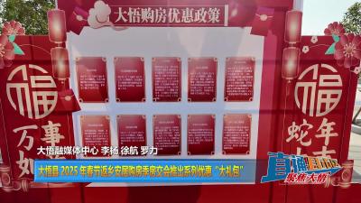 【直通县市区】大悟县 2025 年春节返乡安居购房季房交会推出系列优惠“大礼包”