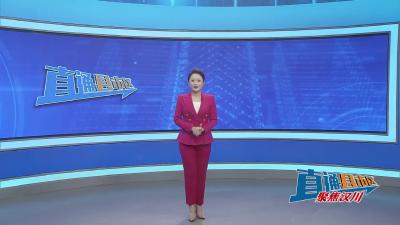 【直通县市区】2025年孝感“春季村晚”示范活动在汉川热闹开演