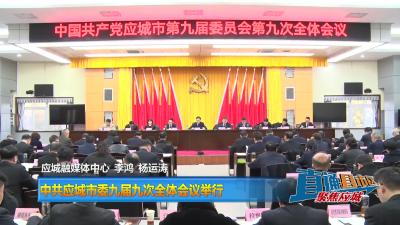 【直通县市区】中共应城市委九届九次全体会议举行