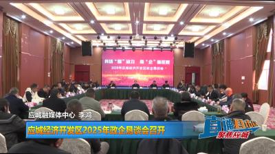【直通县市区】应城经济开发区2025年政企恳谈会召开