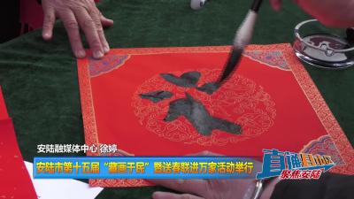【直通县市区】安陆市第十五届“藏画于民”暨送春联进万家活动举行