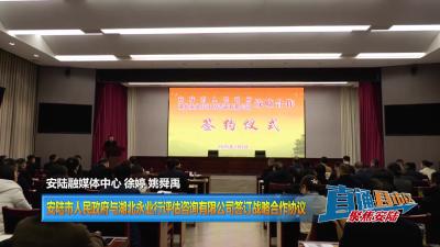 【直通县市区】安陆市人民政府与湖北永业行评估咨询有限公司 签订战略合作协议