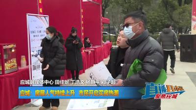 【直通县市区】应城：房展人气持续上升 市民开启买房热潮