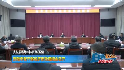 【直通县市区】安陆市老干部经济形势通报会召开