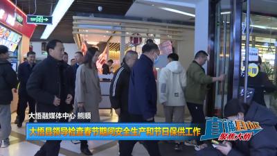 【直通县市区】大悟县领导检查春节期间安全生产和节日保供工作