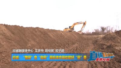 【直通县市区】应城：“粮田”变“良田”高标准农田绘就好“田”景