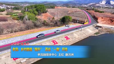 【直通县市区】乡村行·看振兴|孝昌：乡村颜值“飙升”  百业“一路”开挂